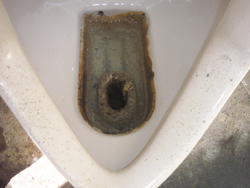 �A�Ώ����܁@�g�p�O