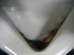 お風呂のスケール・トイレの尿石除去剤。スマートマイルドアシッド
