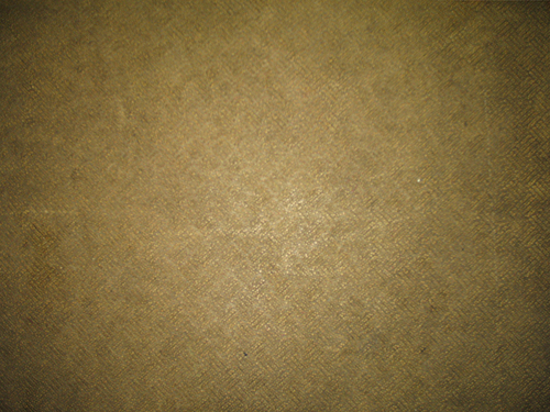 �V�l�z�[���̕��C��̃G�t���̏���