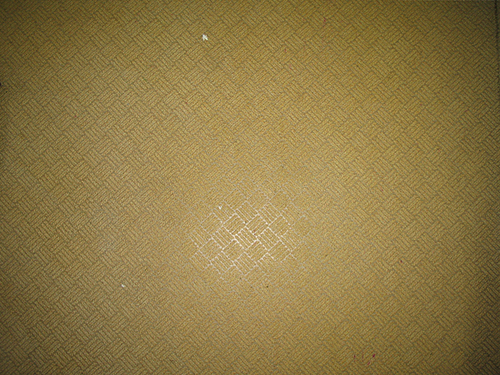 �V�l�z�[���̕��C��̃G�t���̏���