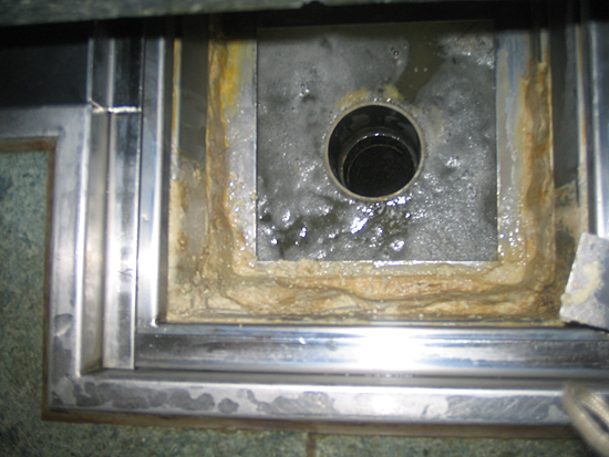 �V�l�z�[���@�����̃G�t������