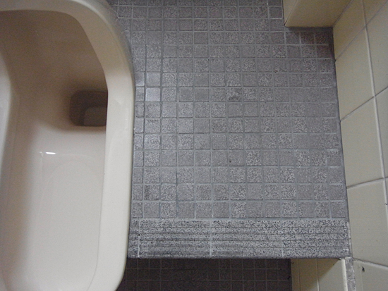 �X�}�[�g�t���b�V���̎g�p��