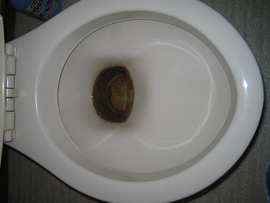 �m���֊���̔A�΂�����