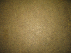 �H��̎������̏�