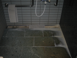 �V�l�z�[���@�����̃G�t������