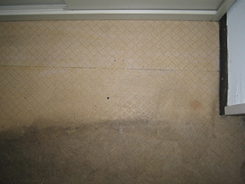 �H��̎������̏��Q