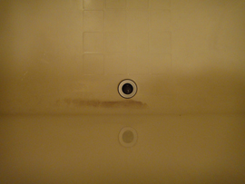 ���C�E�����̐Ό��J�X����