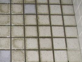 �g�C���̃^�C���̉���̐��̐��