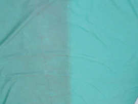 �e���g�̐��